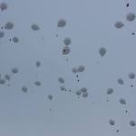 100 Witte ballonnen